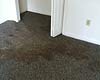 Carpet Cleaning Milton VT